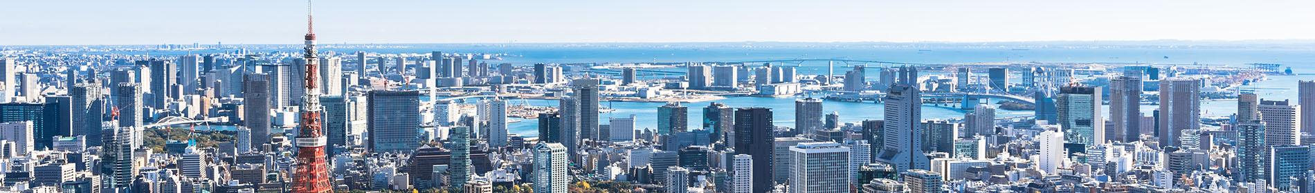 企業情報